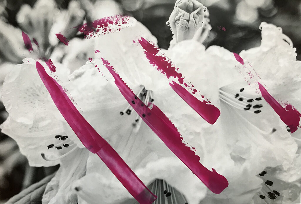 Fotografie Mixed Media