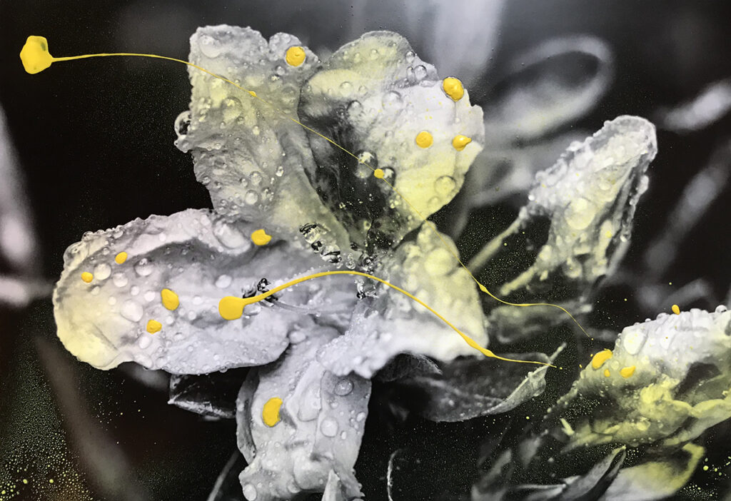 Acryl auf Fotopapier