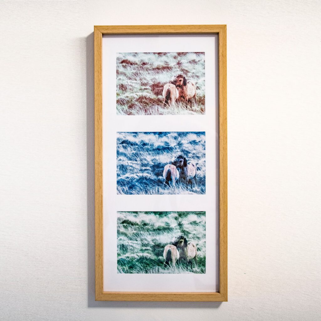 Bilderrahmen mit drei Pferde-Stimmungsbildern