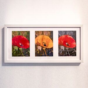 Bilderrahmen mit drei Blumen-Stimmungsbildern