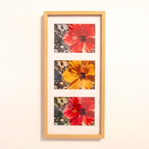 Bilderrahmen mit drei Blumen-Stimmungsbildern