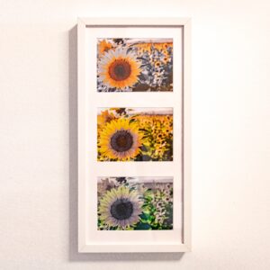 Bilderrahmen mit drei Blumen-Stimmungsbildern