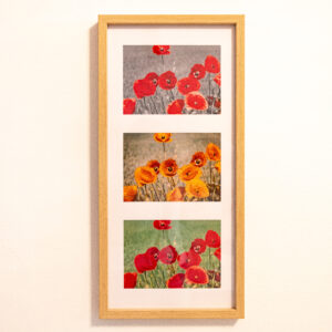 Bilderrahmen mit drei Blumen-Stimmungsbildern