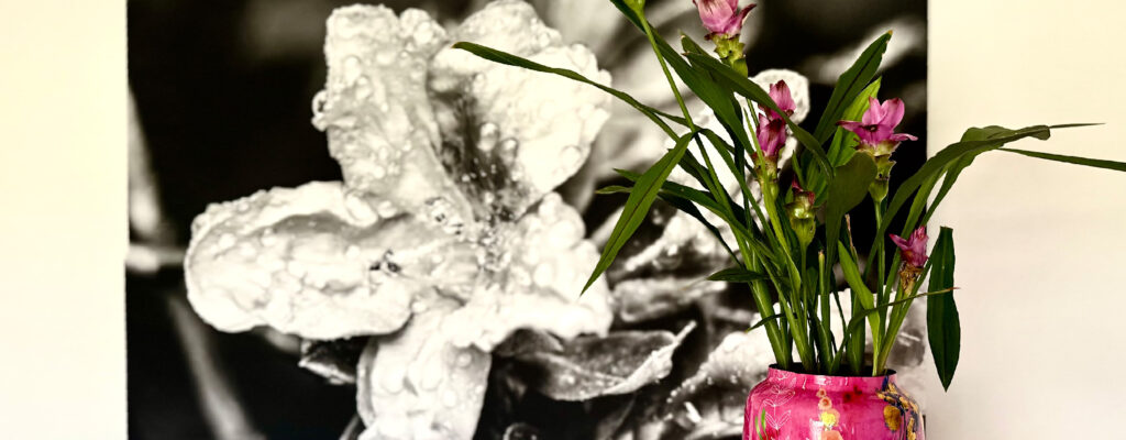 Stimmngsbild Kunst und Vase